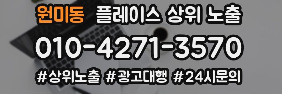 원미동 플레이스 상위 노출