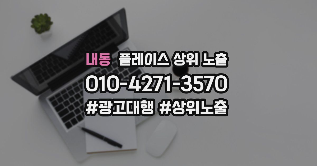 내동 플레이스 상위 노출