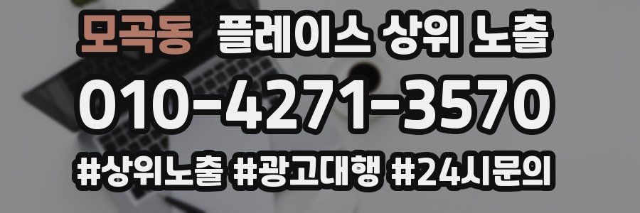 모곡동 플레이스 상위 노출