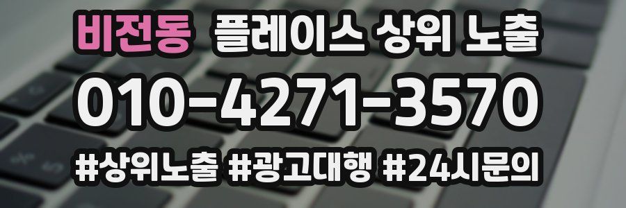 비전동 플레이스 상위 노출