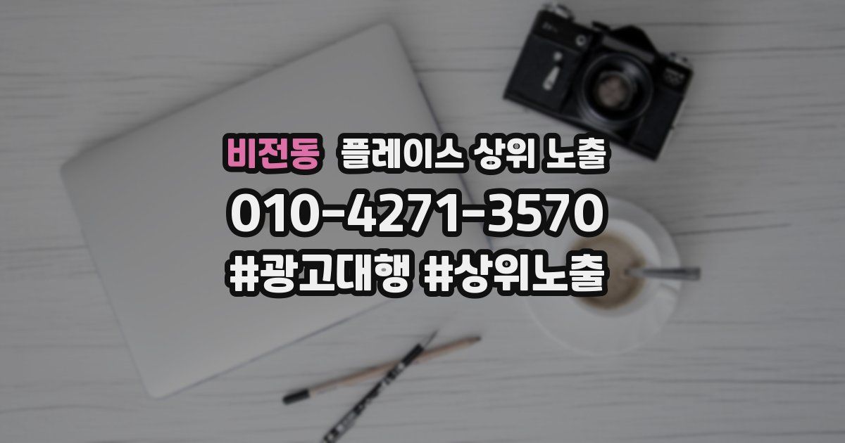 비전동 플레이스 상위 노출
