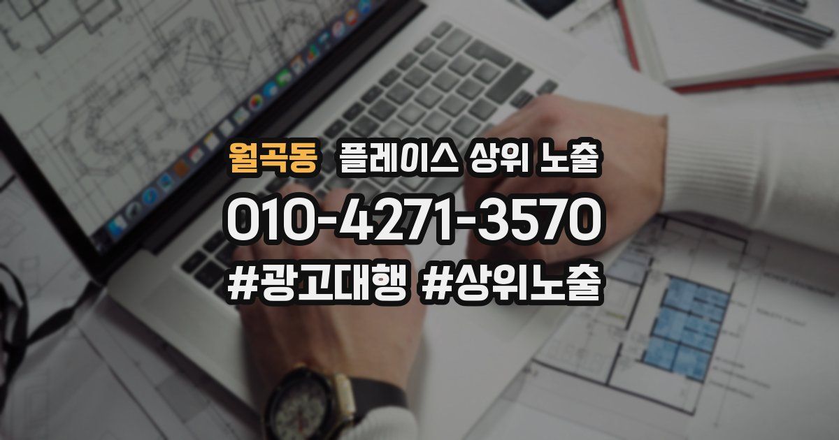 월곡동 플레이스 상위 노출