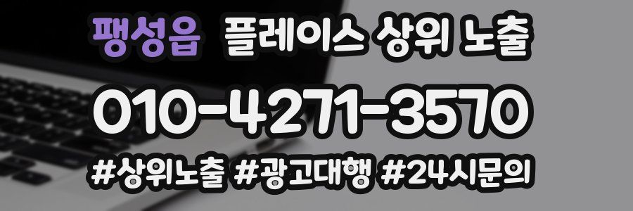 팽성읍 플레이스 상위 노출