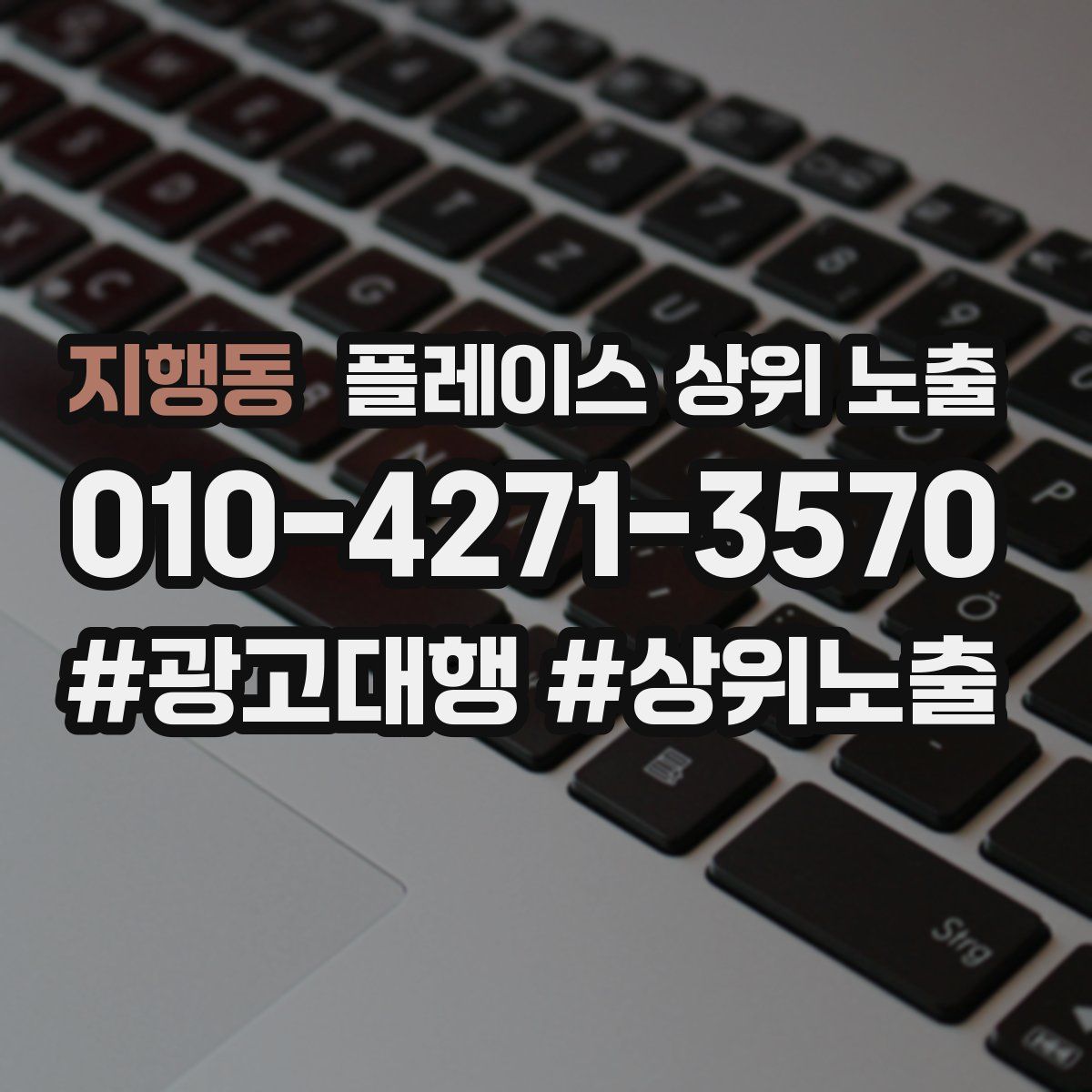 지행동 플레이스 상위 노출