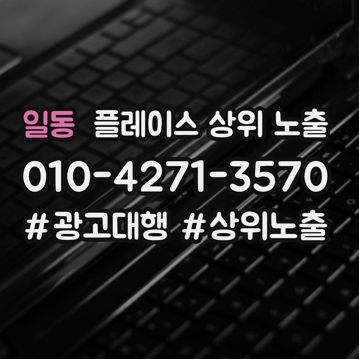 일동 플레이스 상위 노출