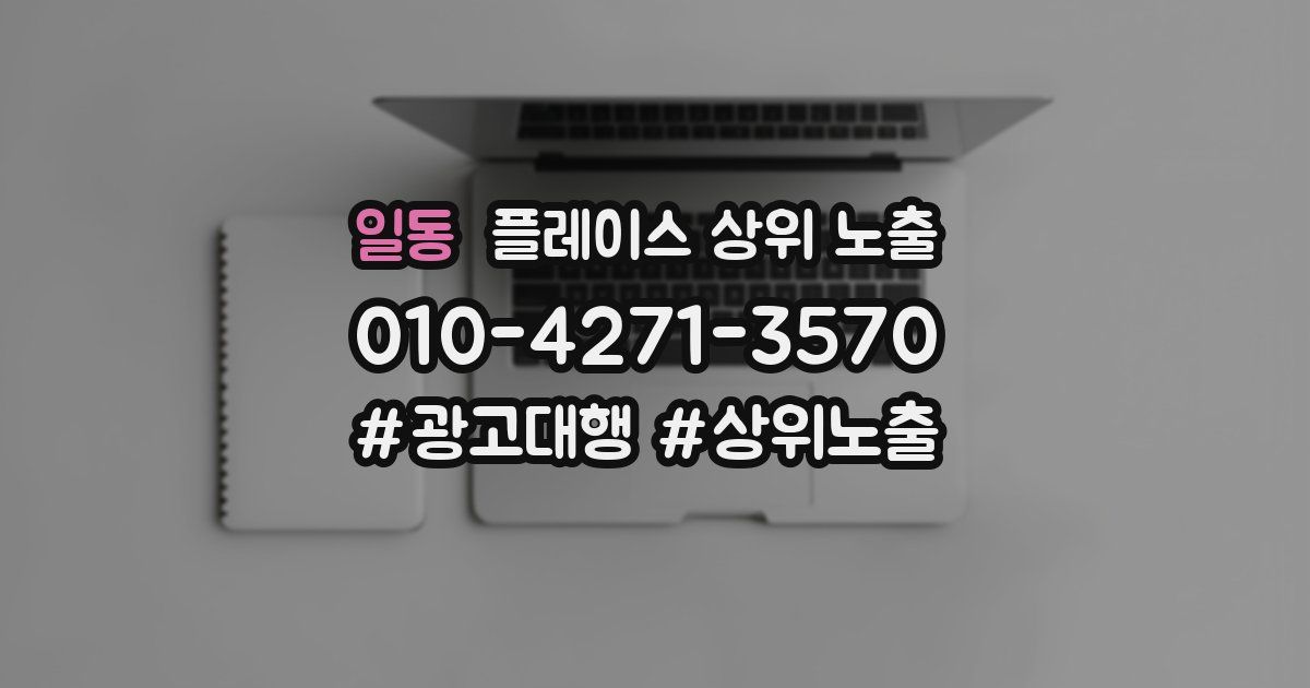 일동 플레이스 상위 노출