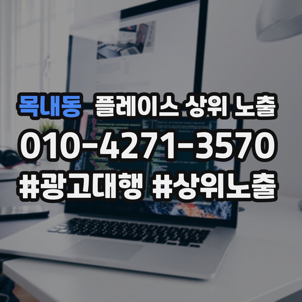 목내동 플레이스 상위 노출