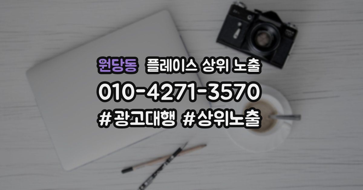 원당동 플레이스 상위 노출