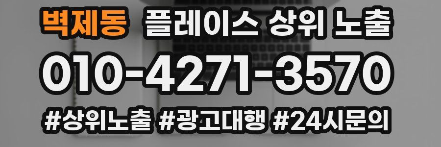 벽제동 플레이스 상위 노출