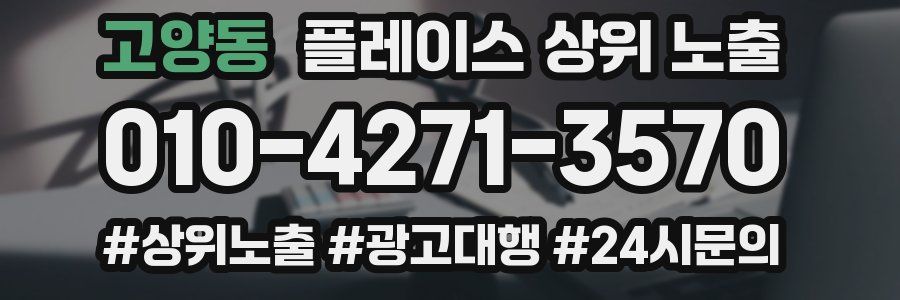고양동 플레이스 상위 노출