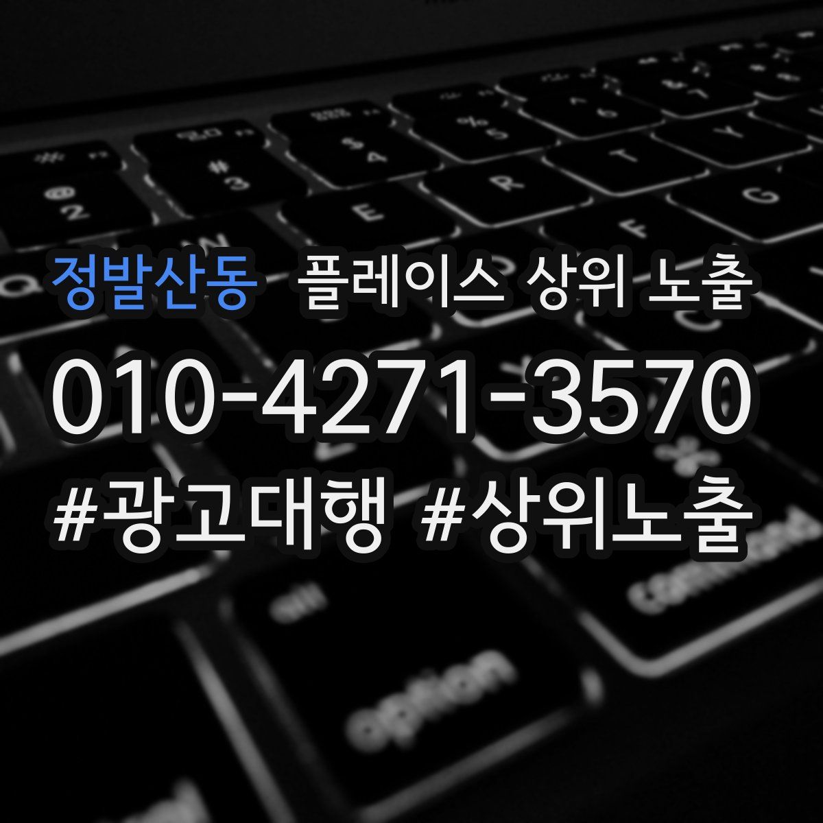 정발산동 플레이스 상위 노출