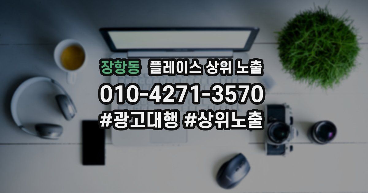 장항동 플레이스 상위 노출