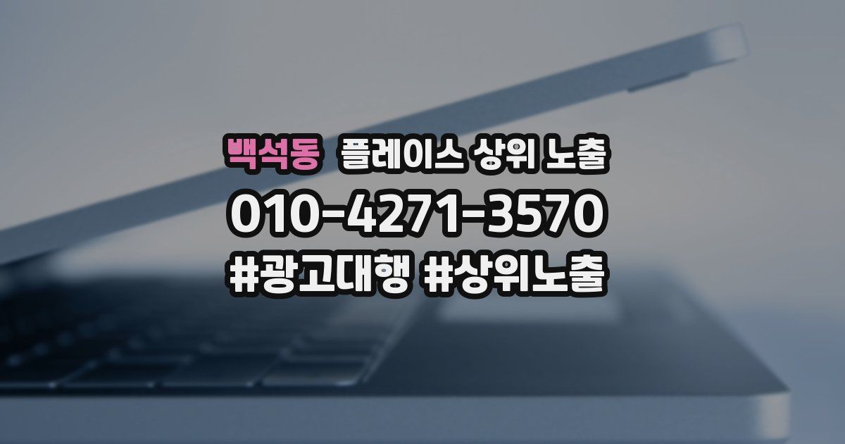 백석동 플레이스 상위 노출