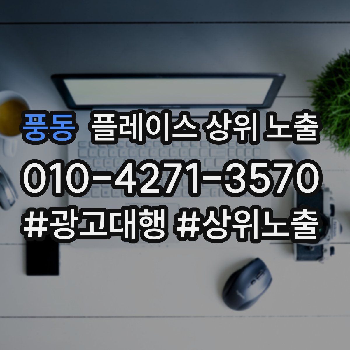 풍동 플레이스 상위 노출