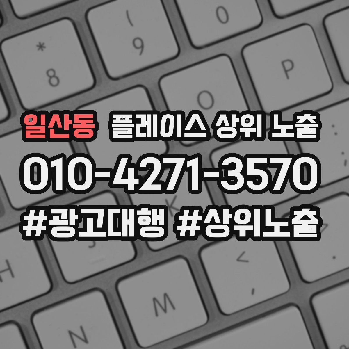 일산동 플레이스 상위 노출