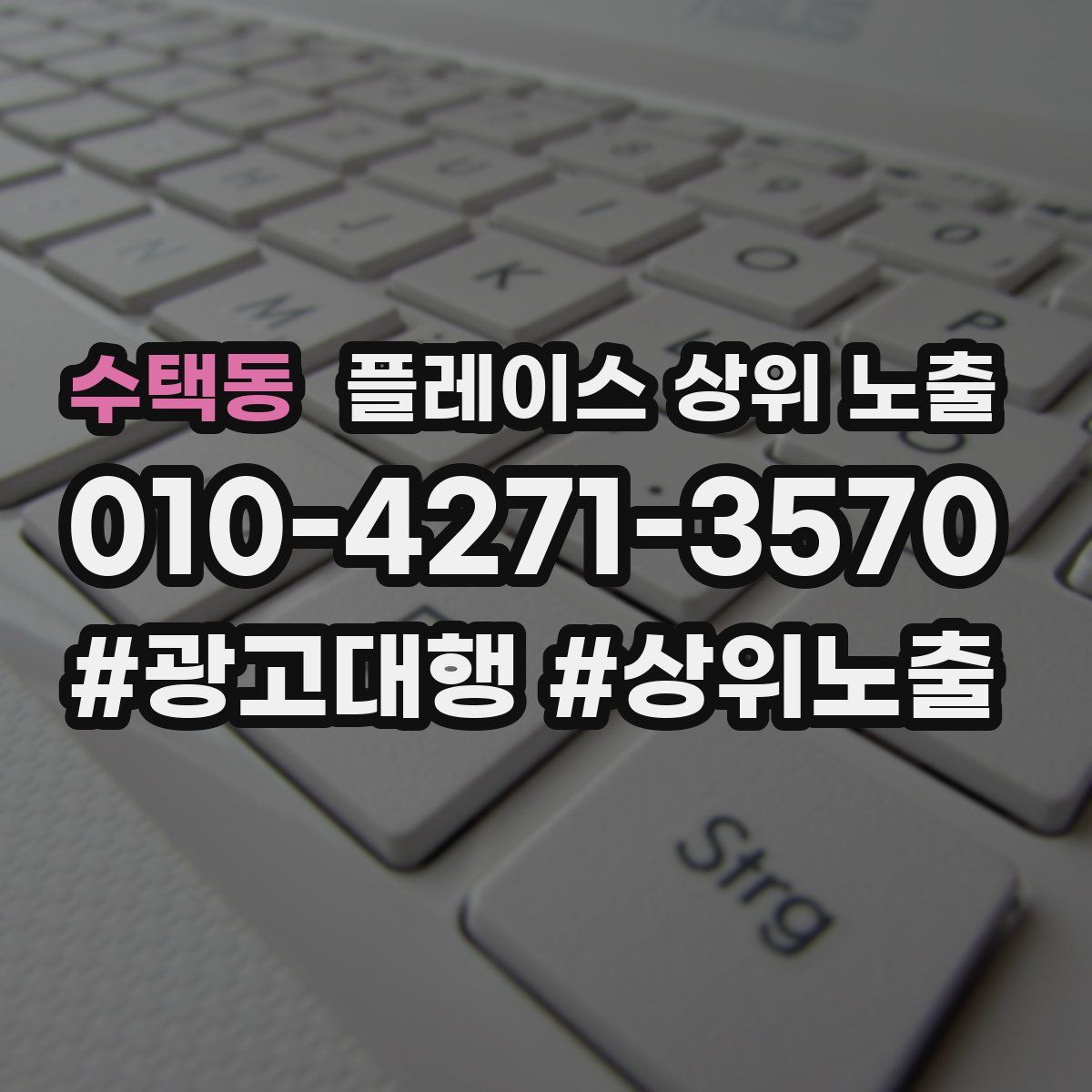 수택동 플레이스 상위 노출
