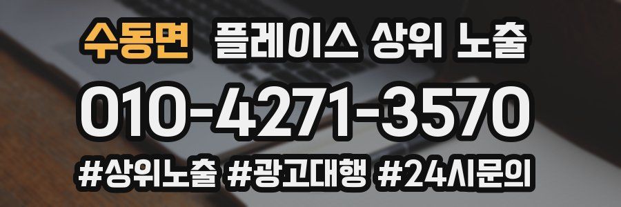 수동면 플레이스 상위 노출