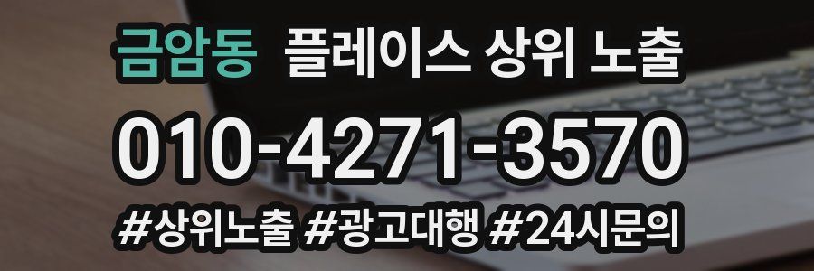 금암동 플레이스 상위 노출