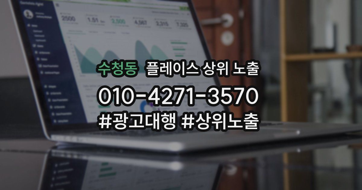 수청동 플레이스 상위 노출