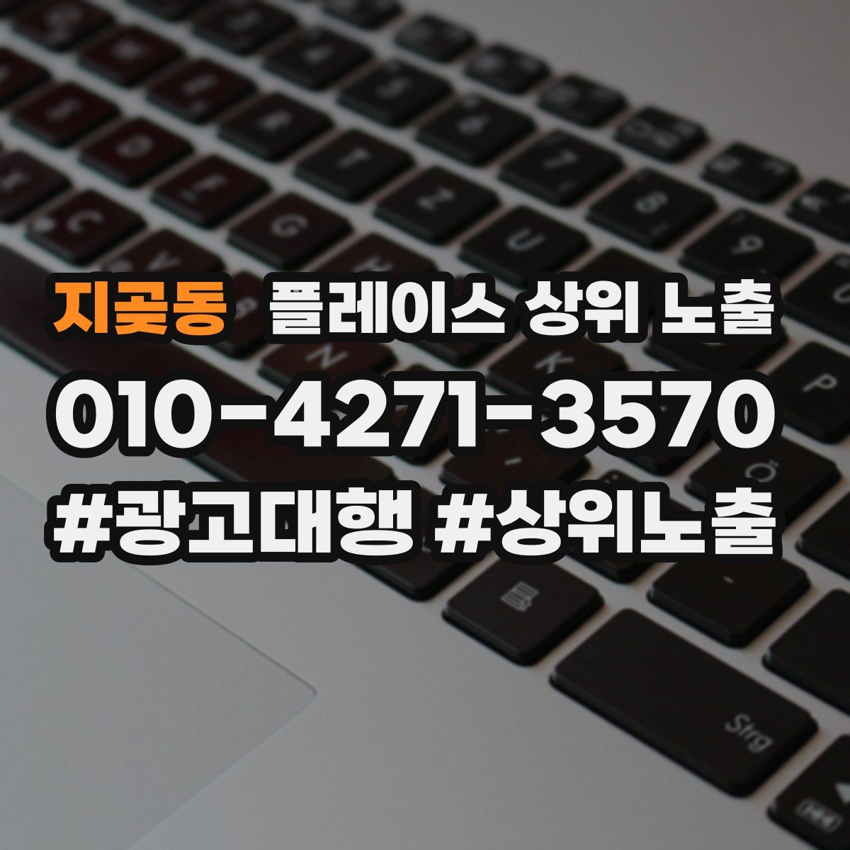 지곶동 플레이스 상위 노출