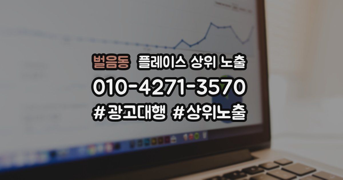 벌음동 플레이스 상위 노출