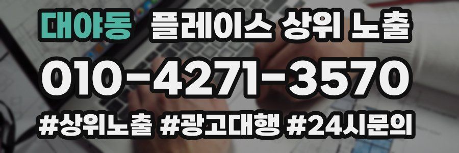 대야동 플레이스 상위 노출