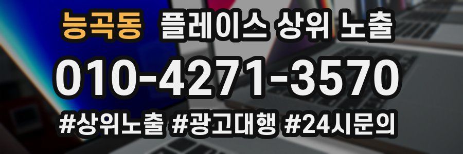 능곡동 플레이스 상위 노출