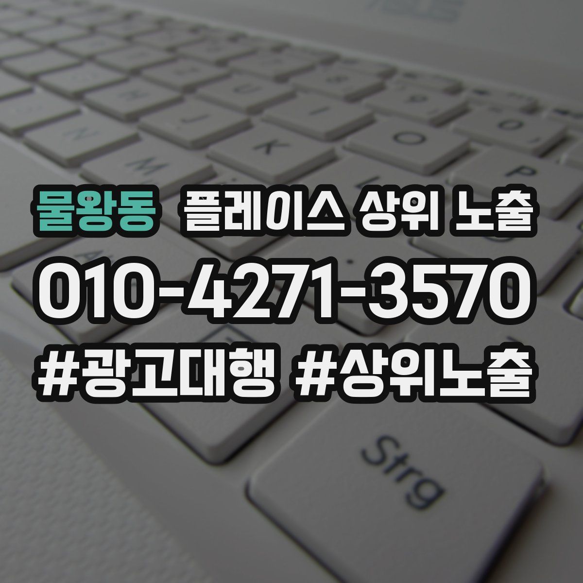 물왕동 플레이스 상위 노출