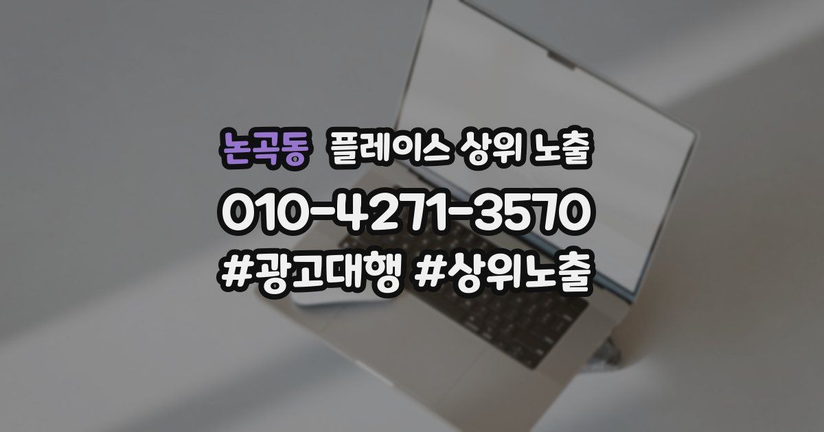 논곡동 플레이스 상위 노출