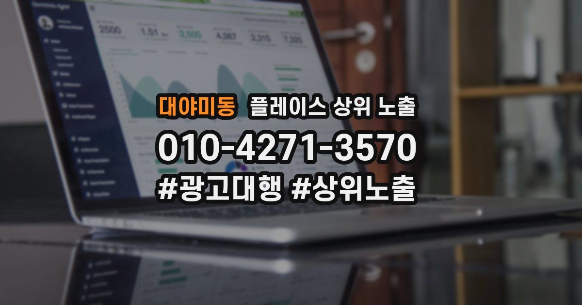 대야미동 플레이스 상위 노출
