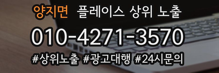 양지면 플레이스 상위 노출