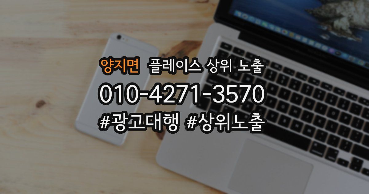 양지면 플레이스 상위 노출
