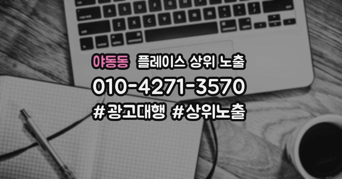 야동동 플레이스 상위 노출