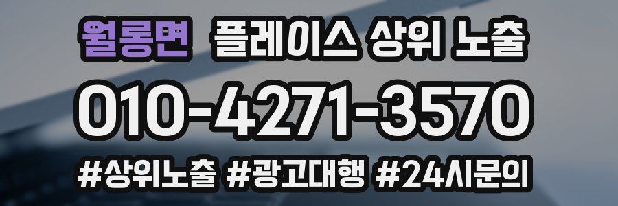 월롱면 플레이스 상위 노출
