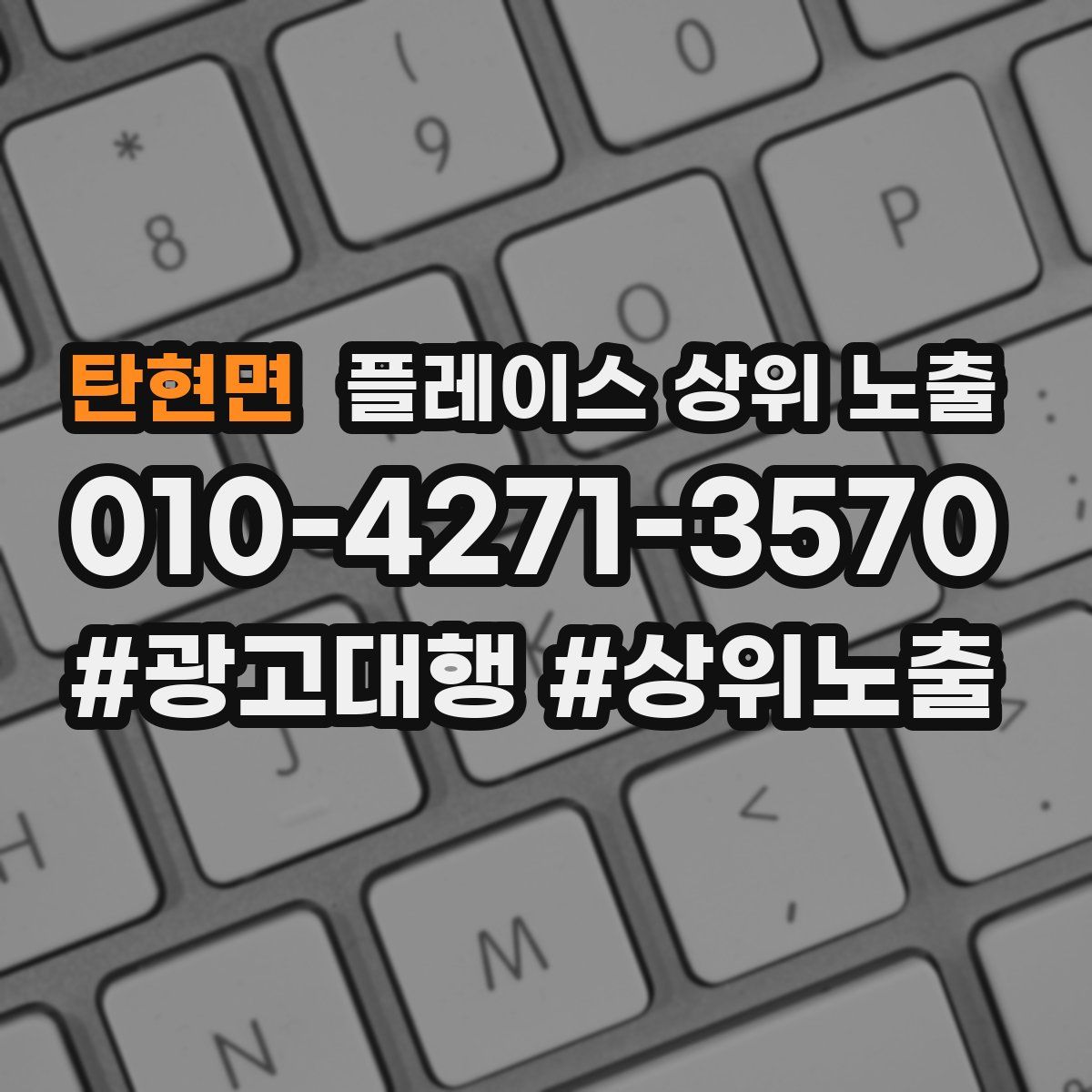 탄현면 플레이스 상위 노출