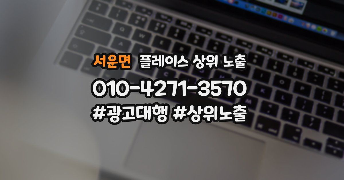 서운면 플레이스 상위 노출