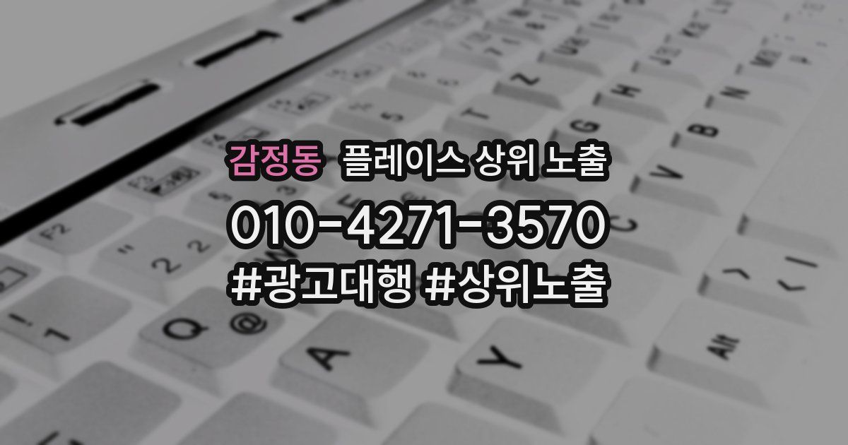 감정동 플레이스 상위 노출