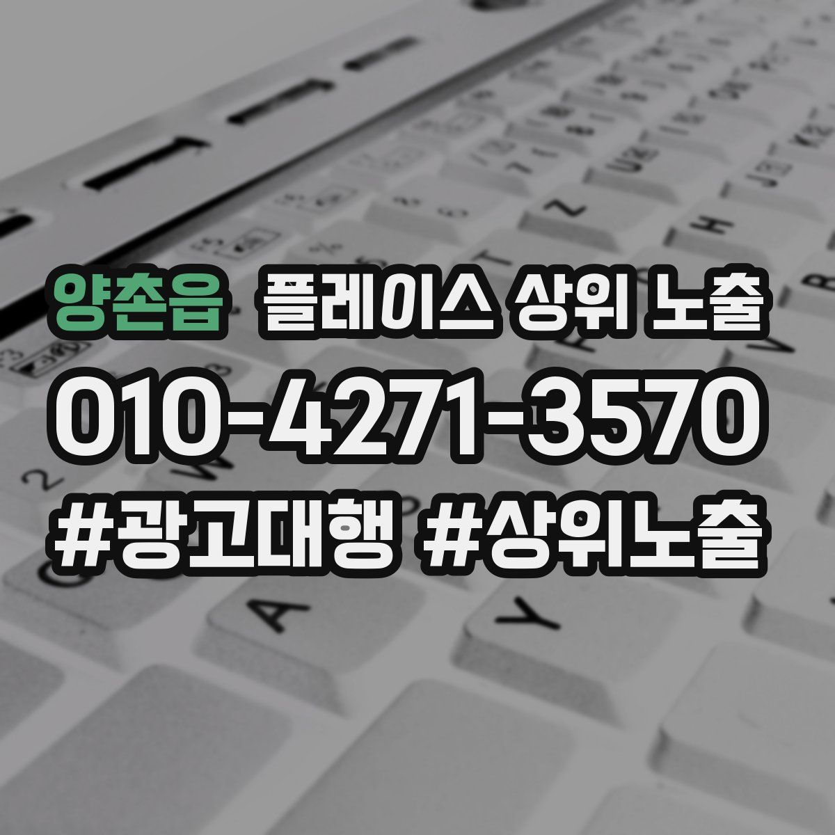 양촌읍 플레이스 상위 노출