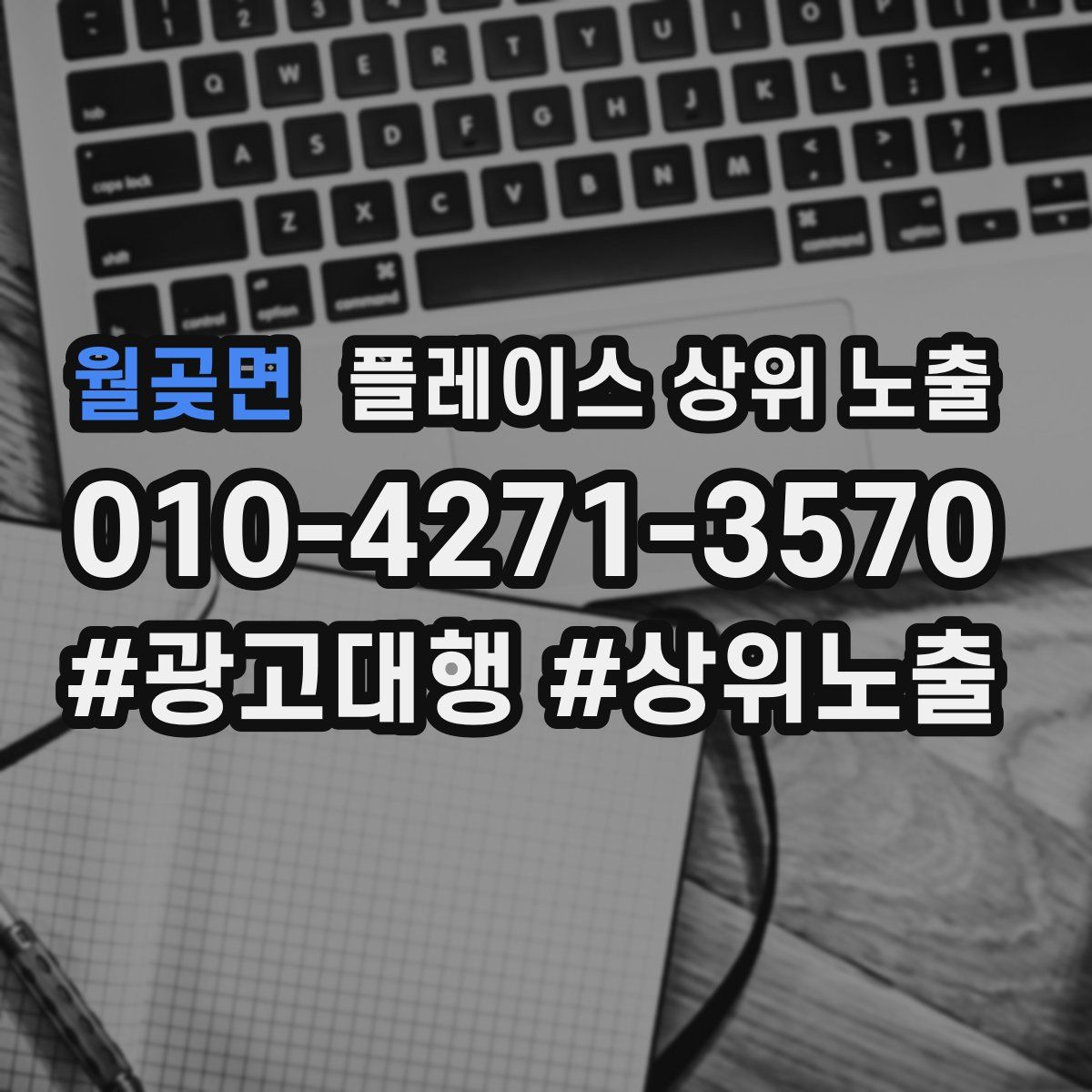 월곶면 플레이스 상위 노출
