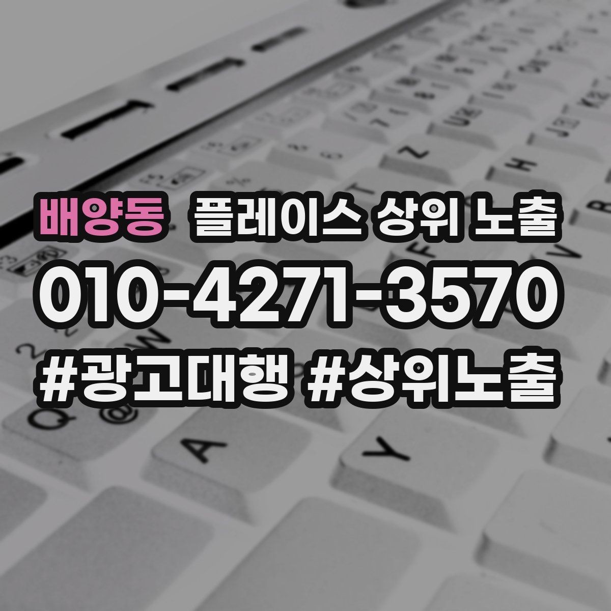 배양동 플레이스 상위 노출 경쟁이 심한 지역에서 이기는 포인트