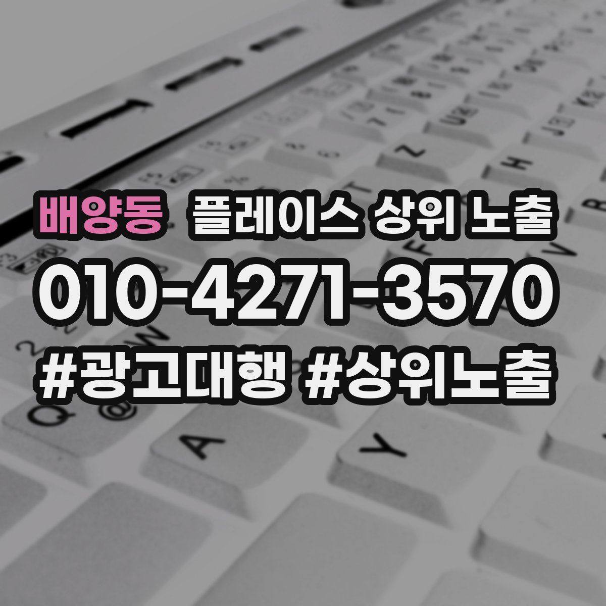 배양동 플레이스 상위 노출