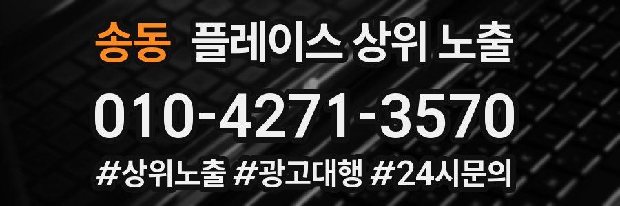 송동 플레이스 상위 노출