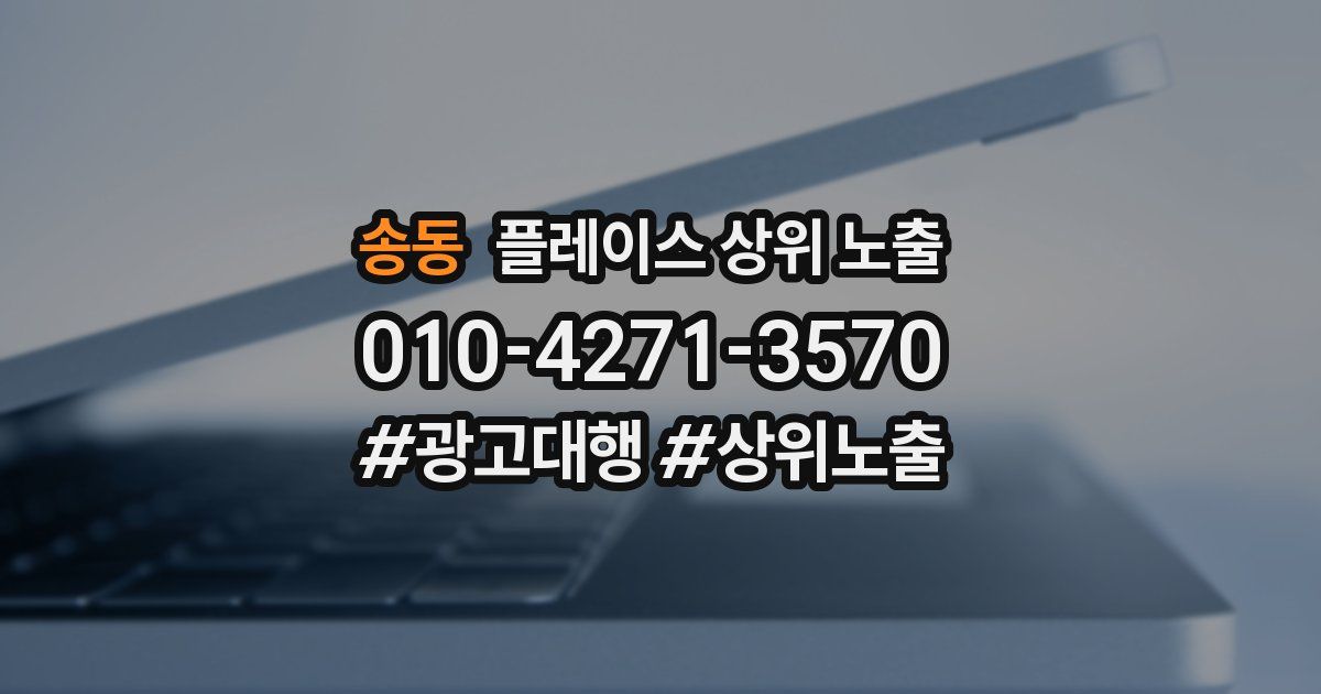 송동 플레이스 상위 노출