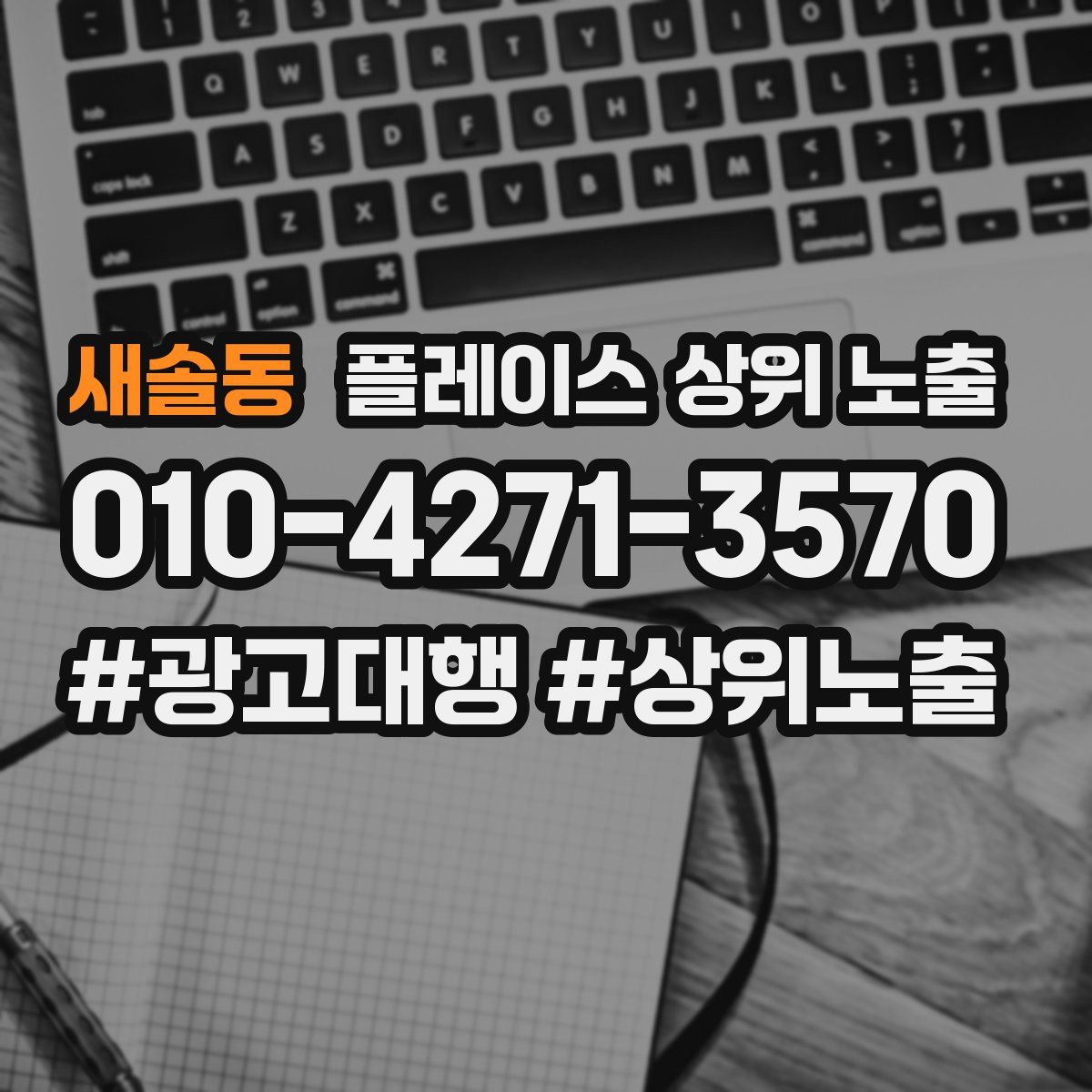새솔동 플레이스 상위 노출