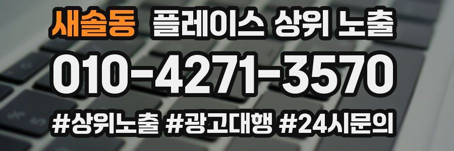 새솔동 플레이스 상위 노출