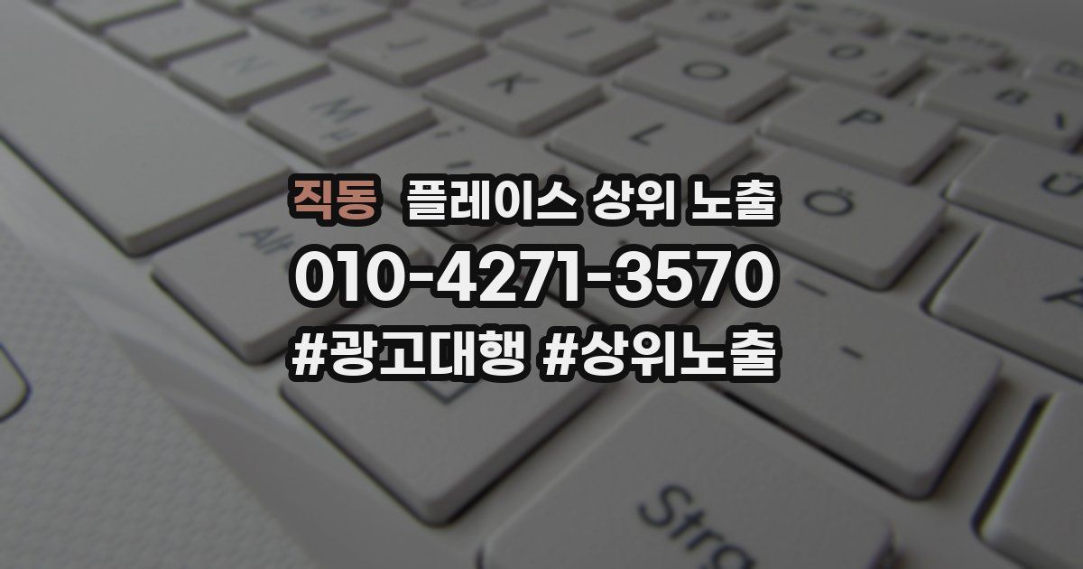 직동 플레이스 상위 노출