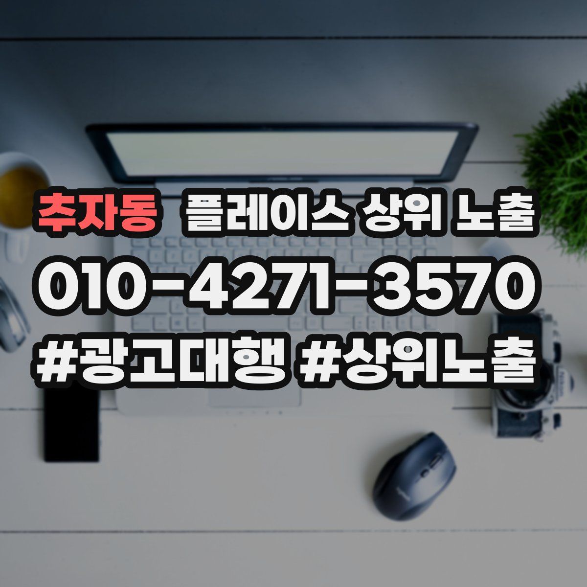 추자동 플레이스 상위 노출