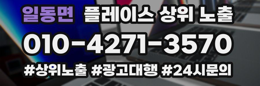일동면 플레이스 상위 노출