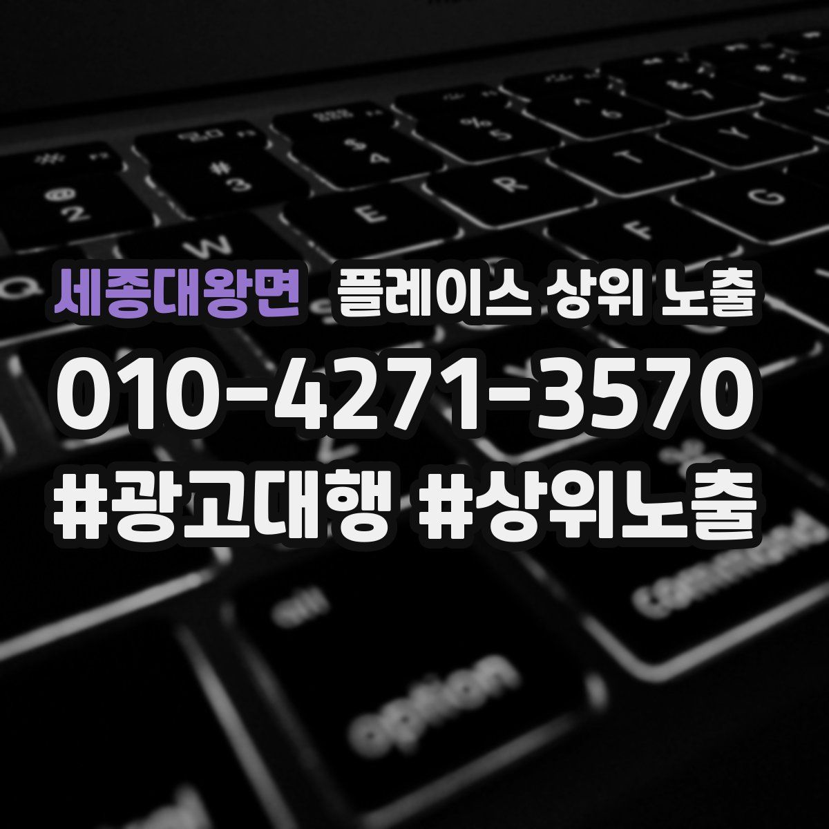세종대왕면 플레이스 상위 노출