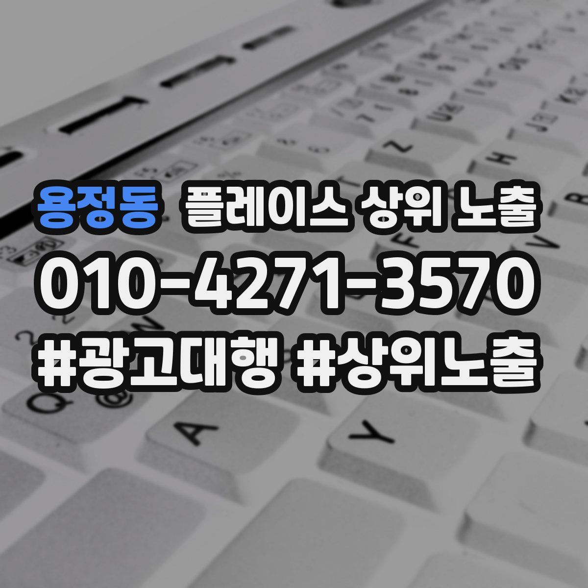 용정동 플레이스 상위 노출